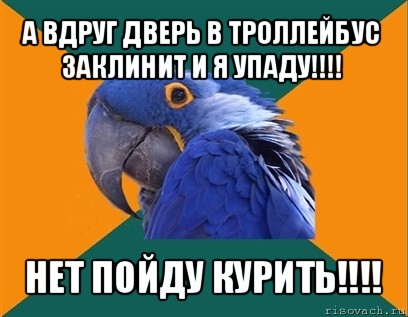 а вдруг дверь в троллейбус заклинит и я упаду!!! нет пойду курить!!!, Мем Попугай параноик