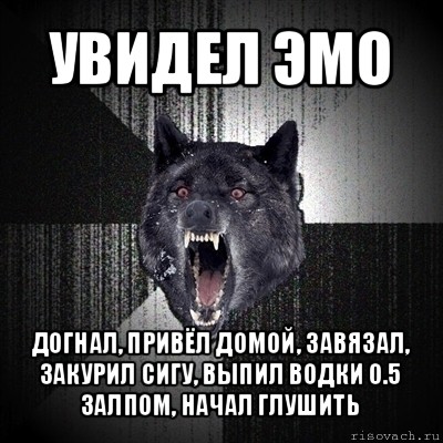 увидел эмо догнал, привёл домой, завязал, закурил сигу, выпил водки 0.5 залпом, начал глушить, Мем Сумасшедший волк