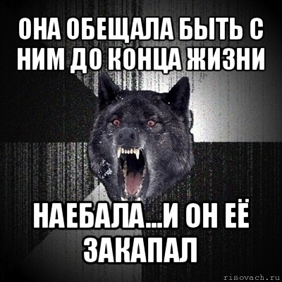 она обещала быть с ним до конца жизни наебала...и он её закапал, Мем Сумасшедший волк