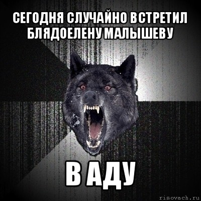 сегодня случайно встретил блядоелену малышеву в аду, Мем Сумасшедший волк