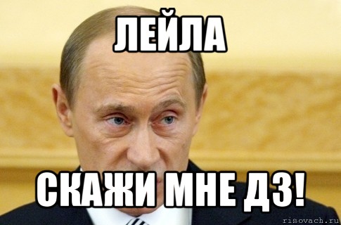 лейла скажи мне дз!, Мем путин