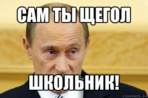 сам ты щегол школьник!, Мем путин