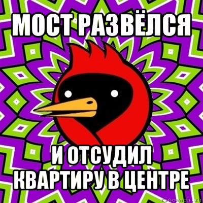 мост развёлся и отсудил квартиру в центре, Мем Омская птица