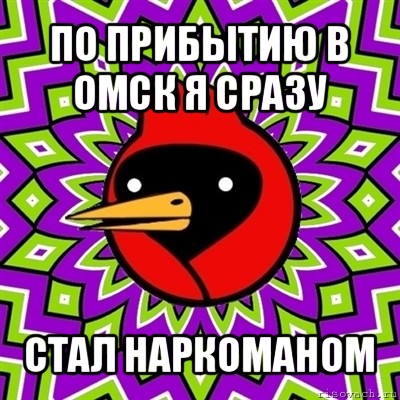 по прибытию в омск я сразу стал наркоманом, Мем Омская птица