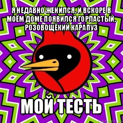 я недавно женился, и вскоре в моём доме появился горластый, розовощёкий карапуз мой тесть, Мем Омская птица