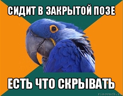 сидит в закрытой позе есть что скрывать, Мем Попугай параноик