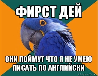 фирст дей они поймут что я не умею писать по английски, Мем Попугай параноик