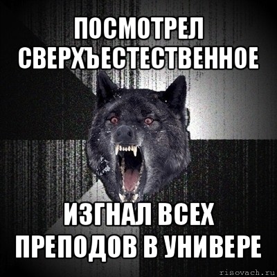 посмотрел сверхъестественное изгнал всех преподов в универе, Мем Сумасшедший волк