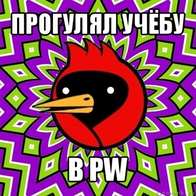 прогулял учёбу в pw, Мем Омская птица