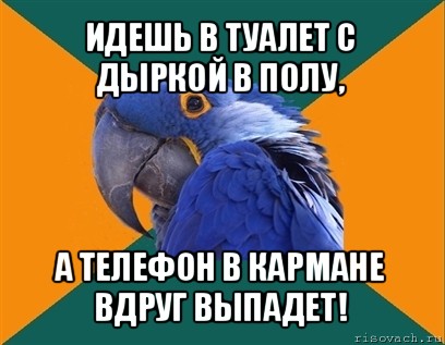 идешь в туалет с дыркой в полу, а телефон в кармане вдруг выпадет!, Мем Попугай параноик