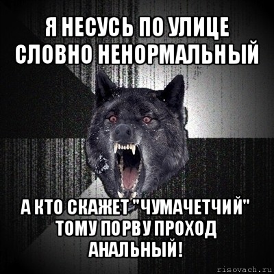 я несусь по улице словно ненормальный а кто скажет "чумачетчий" тому порву проход анальный!, Мем Сумасшедший волк