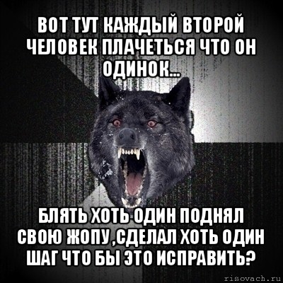 вот тут каждый второй человек плачеться что он одинок... блять хоть один поднял свою жопу ,сделал хоть один шаг что бы это исправить?, Мем Сумасшедший волк