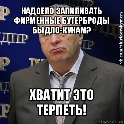 надоело запиливать фирменные бутерброды быдло-кунам? хватит это терпеть!, Мем Хватит это терпеть (Жириновский)