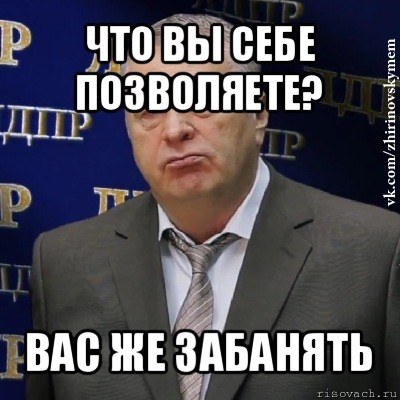 что вы себе позволяете? вас же забанять, Мем Хватит это терпеть (Жириновский)