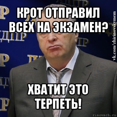 крот отправил всех на экзамен? хватит это терпеть!, Мем Хватит это терпеть (Жириновский)