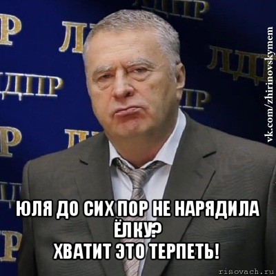  юля до сих пор не нарядила ёлку?
хватит это терпеть!, Мем Хватит это терпеть (Жириновский)