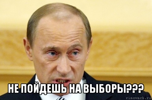  не пойдешь на выборы???, Мем путин