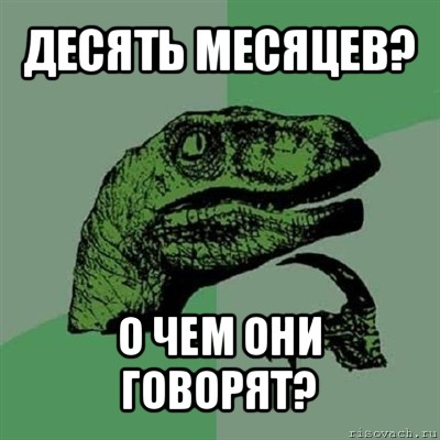 десять месяцев? о чем они говорят?, Мем Филосораптор