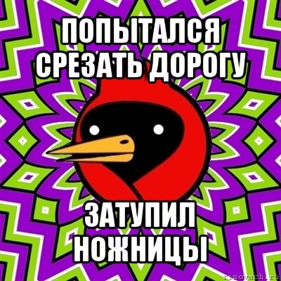 попытался срезать дорогу затупил ножницы, Мем Омская птица