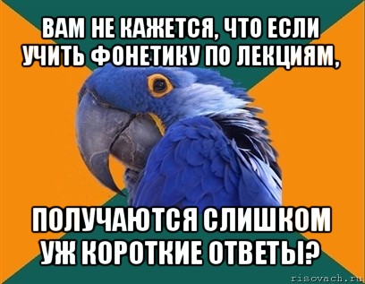 вам не кажется, что если учить фонетику по лекциям, получаются слишком уж короткие ответы?, Мем Попугай параноик