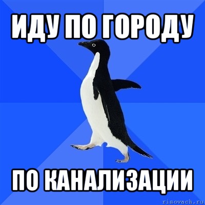 иду по городу по канализации, Мем  Социально-неуклюжий пингвин