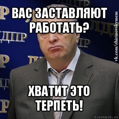 вас заставляют работать? хватит это терпеть!, Мем Хватит это терпеть (Жириновский)