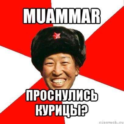 muammar проснулись курицы?