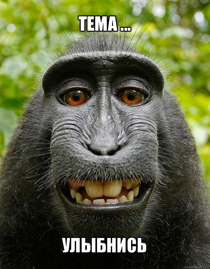 тема ... улыбнись, Мем  Довольная обезьяна