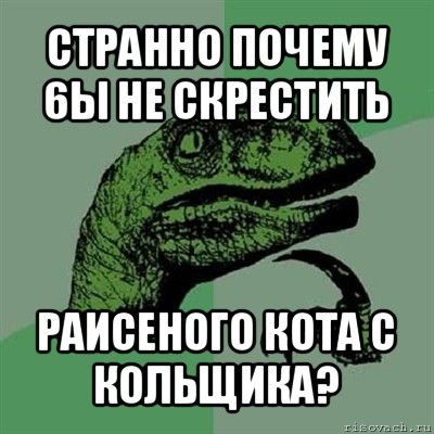 странно почему 6ы не скрестить раисеного кота с кольщика?, Мем Филосораптор