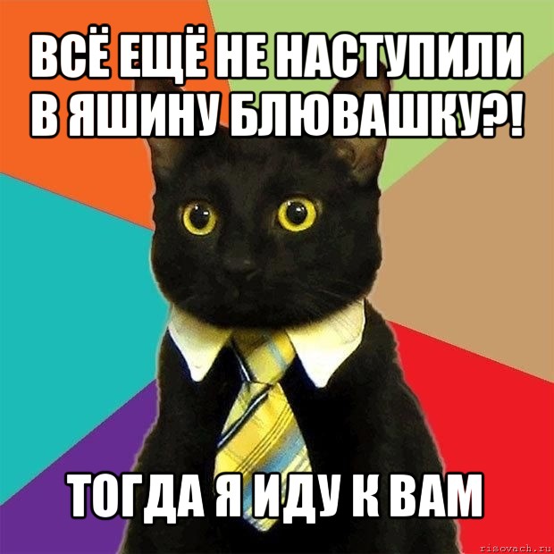 всё ещё не наступили в яшину блювашку?! тогда я иду к вам, Мем  Кошечка