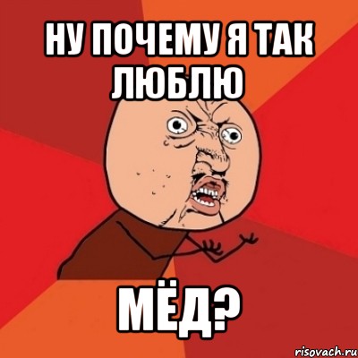 ну почему я так люблю мёд?, Мем Почему