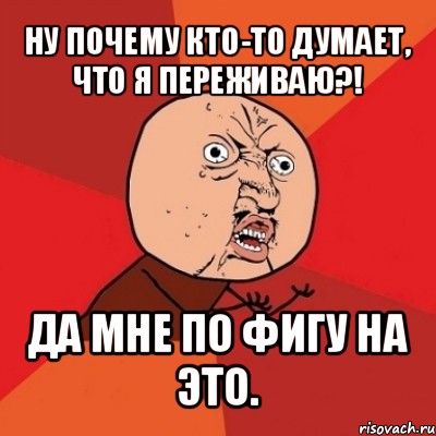 ну почему кто-то думает, что я переживаю?! да мне по фигу на это., Мем Почему