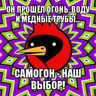 он прошёл огонь, воду и медные трубы... самогон - наш выбор!, Мем Омская птица