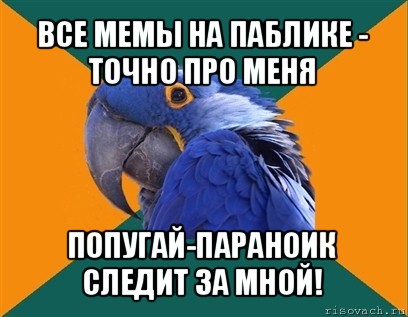 все мемы на паблике - точно про меня попугай-параноик следит за мной!, Мем Попугай параноик