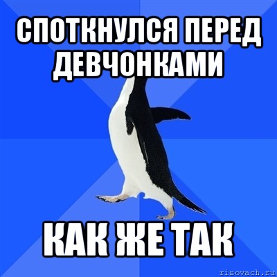 споткнулся перед девчонками как же так, Мем  Социально-неуклюжий пингвин