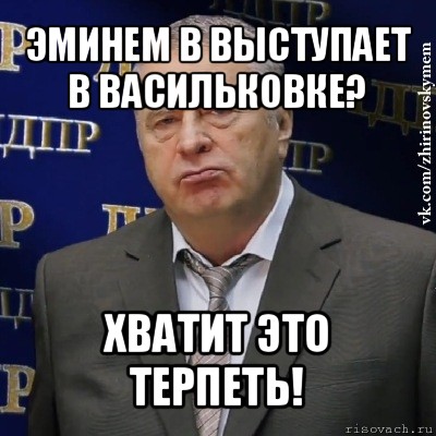 эминем в выступает в васильковке? хватит это терпеть!, Мем Хватит это терпеть (Жириновский)