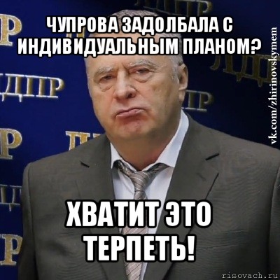 чупрова задолбала с индивидуальным планом? хватит это терпеть!, Мем Хватит это терпеть (Жириновский)