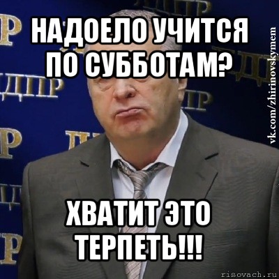 надоело учится по субботам? хватит это терпеть!!!, Мем Хватит это терпеть (Жириновский)