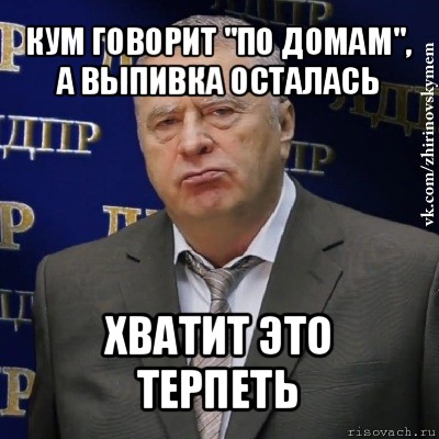 кум говорит "по домам", а выпивка осталась хватит это терпеть, Мем Хватит это терпеть (Жириновский)