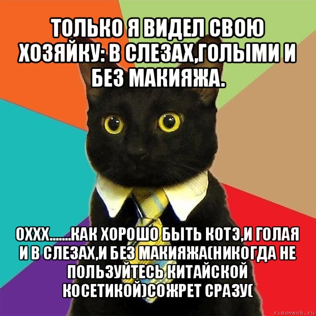 только я видел свою хозяйку: в слезах,голыми и без макияжа. оххх.......как хорошо быть котэ,и голая и в слезах,и без макияжа(никогда не пользуйтесь китайской косетикой)сожрет сразу(