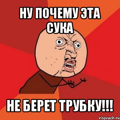 ну почему эта сука не берет трубку!!!, Мем Почему