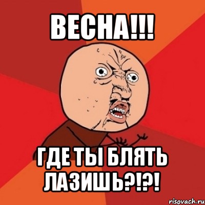 весна!!! где ты блять лазишь?!?!