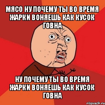 мясо ну почему ты во время жарки воняешь как кусок говна ну почему ты во время жарки воняешь как кусок говна, Мем Почему