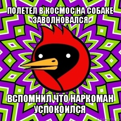 полетел в космос на собаке
заволновался вспомнил что наркоман
успокоился, Мем Омская птица