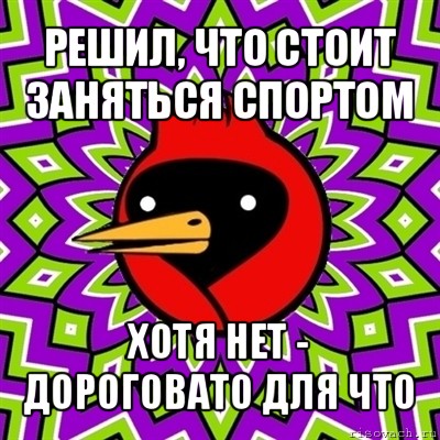 решил, что стоит заняться спортом хотя нет - дороговато для что, Мем Омская птица