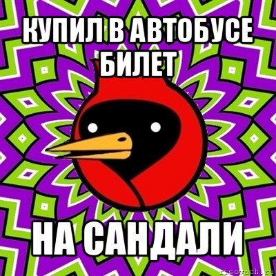 купил в автобусе билет на сандали, Мем Омская птица