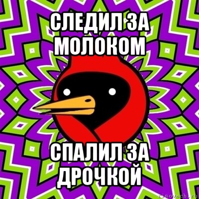 следил за молоком спалил за дрочкой, Мем Омская птица