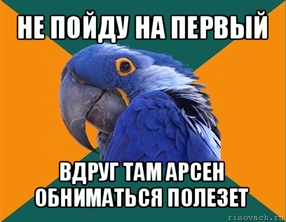 не пойду на первый вдруг там арсен обниматься полезет, Мем Попугай параноик