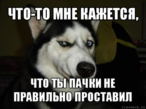 Что-то мне кажется, что ты пачки не правильно проставил, Комикс  Собака подозревака