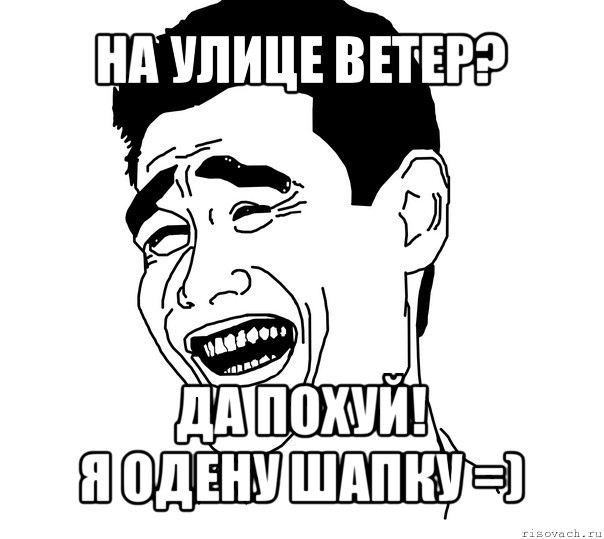 на улице ветер? да похуй!
я одену шапку =), Мем Яо минг